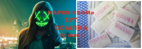 PSILOCYBIN Алексеевка