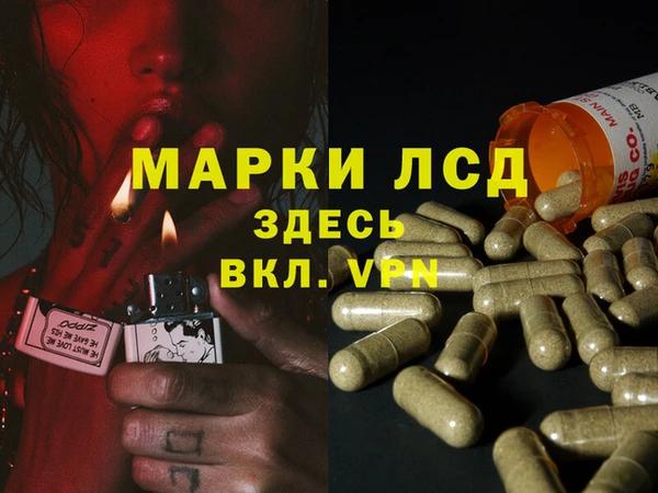 PSILOCYBIN Алексеевка