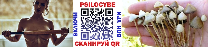 Псилоцибиновые грибы Magic Shrooms  даркнет сайт  это клад  Александровское 